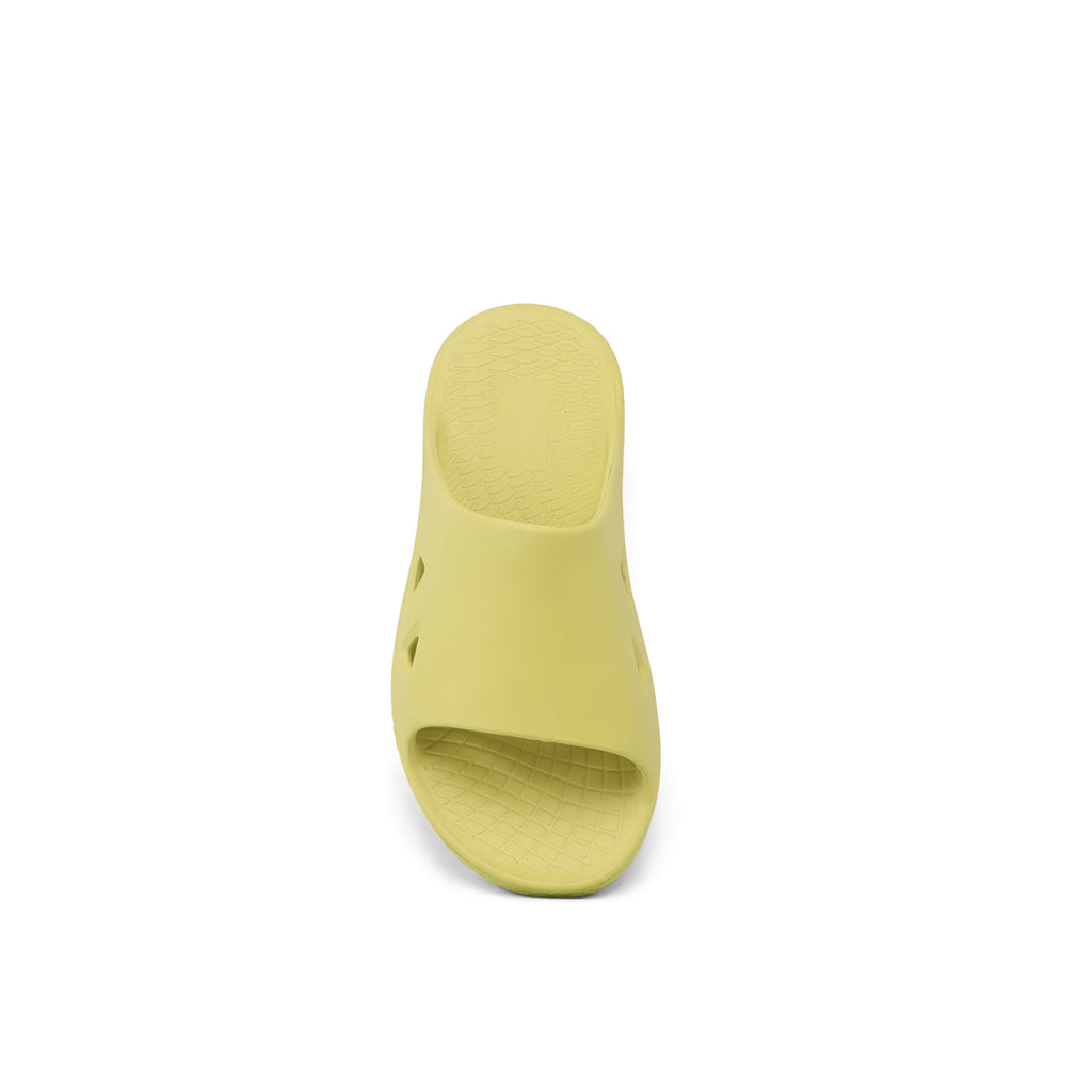 Damian Slides