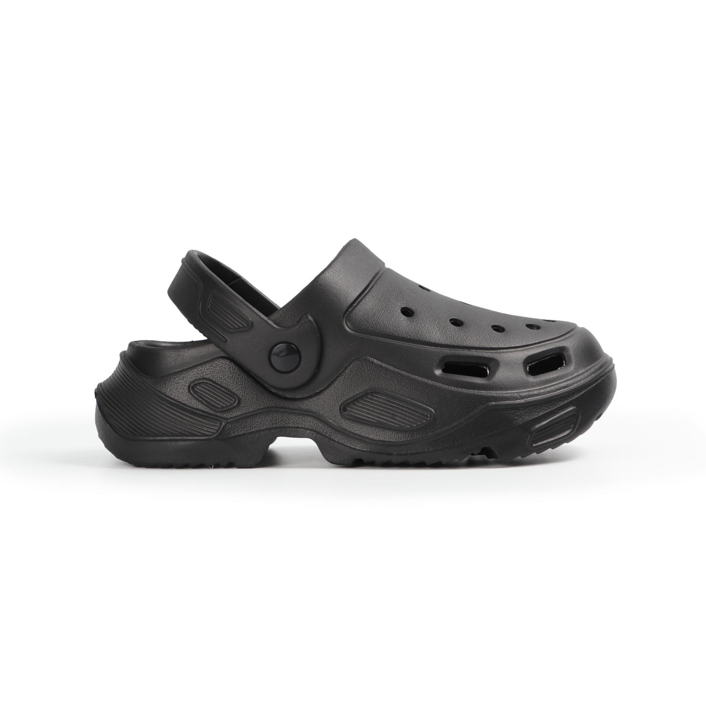 Darwin Slides