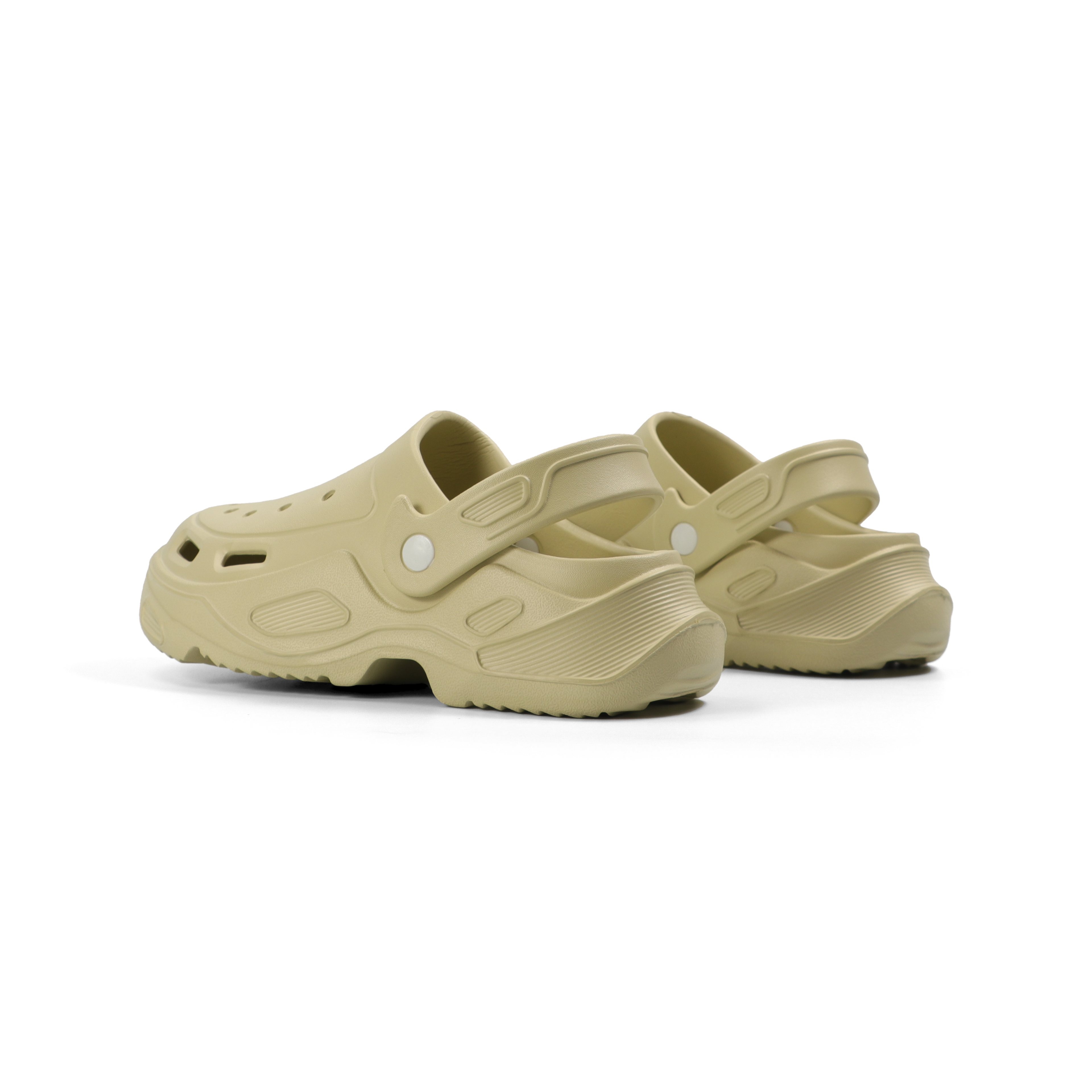 Darwin Slides